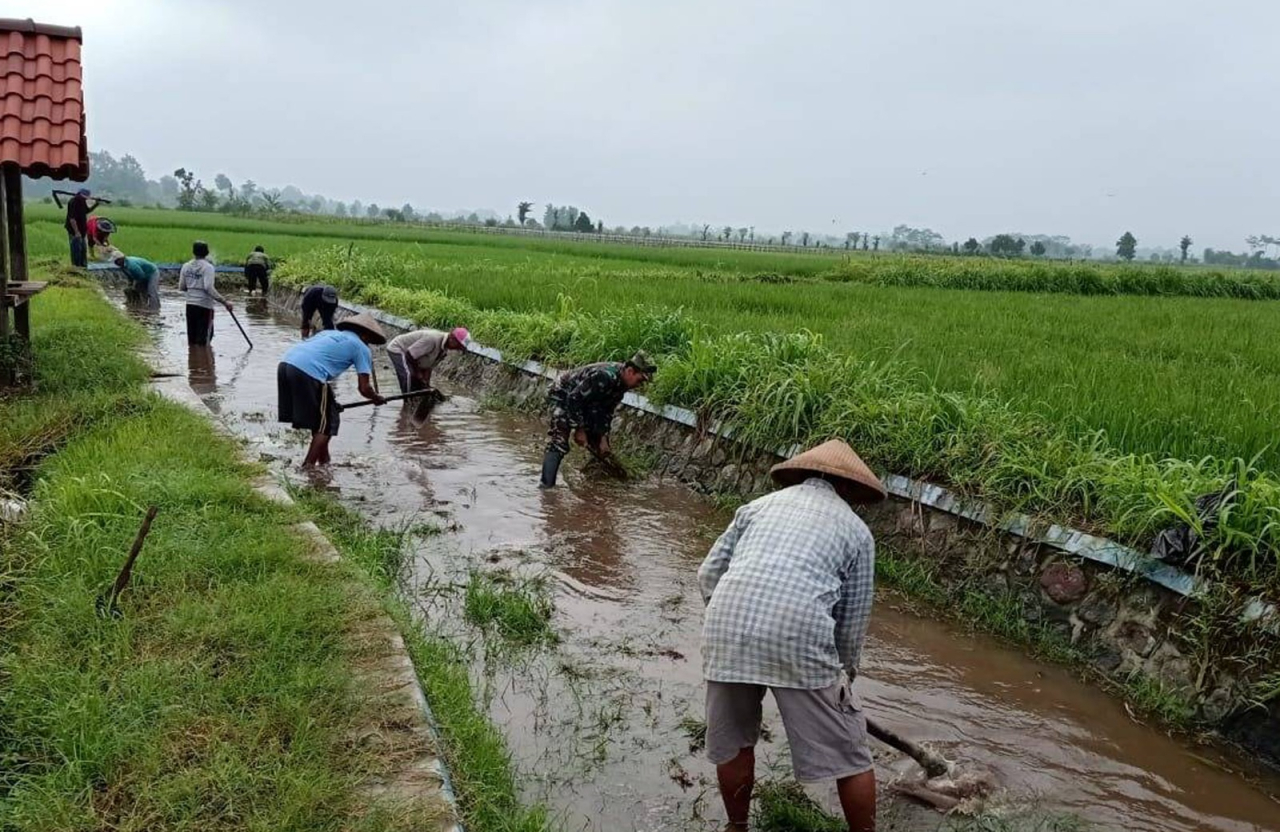 Poktan Berkah Tani Didampingi Babinsa Optimalkan Saluran Irigasi 20 Ha Lahan Sawah di Kaliboto Wonodadi Blitar