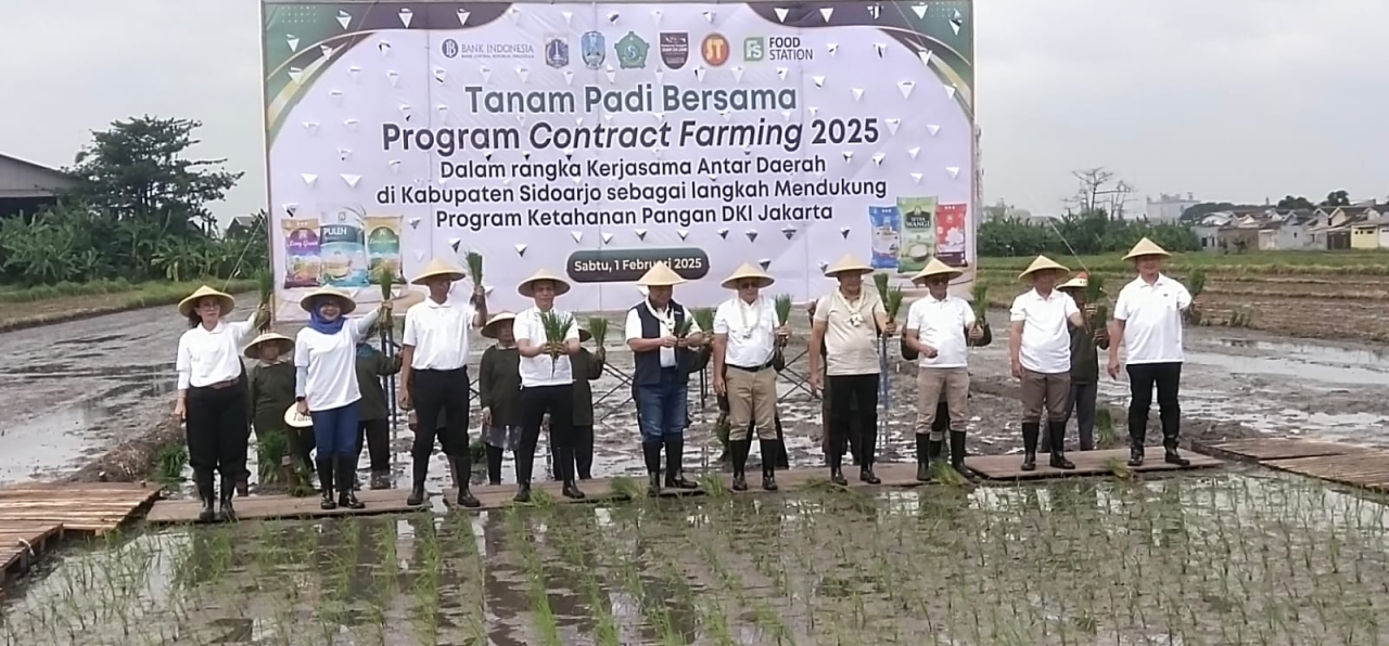 Pemerintah DKI Jakarta dan Jatim Tanam Padi Bersama di Sidoarjo untuk Ketahanan Pangan