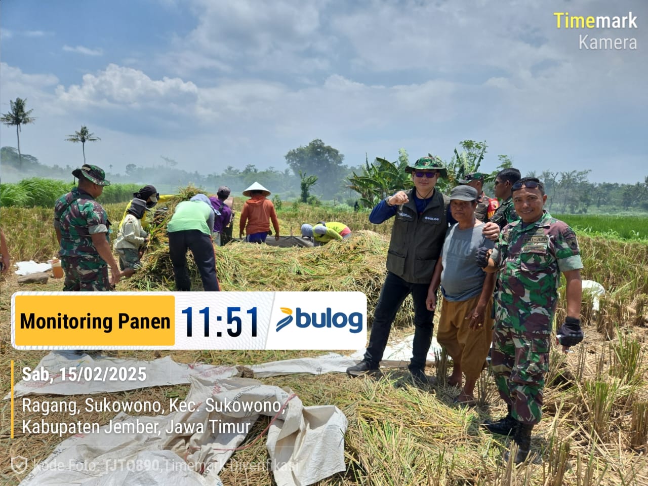 Sinergi Bulog Jember dan TNI Guna Serap Gabah-Beras Petani, Tak Kenal Hari Libur