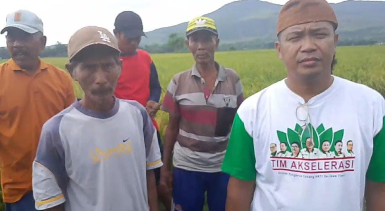 Ketua HKTI Jember Edukasi Petani untuk Jaga Kualitas Gabah yang Dijual ke Bulog