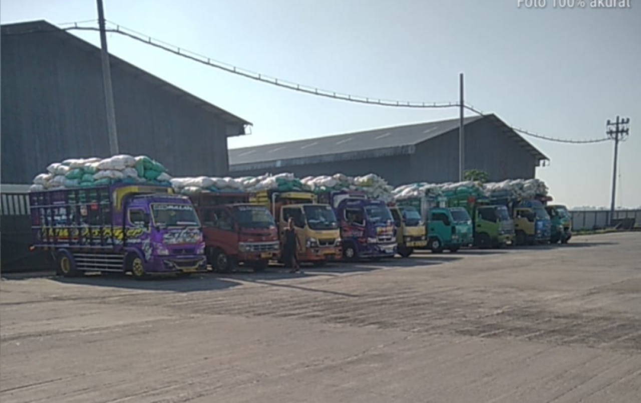 Serapan Gabah dan Beras Bulog Jember tertinggi se-Jawa Timur