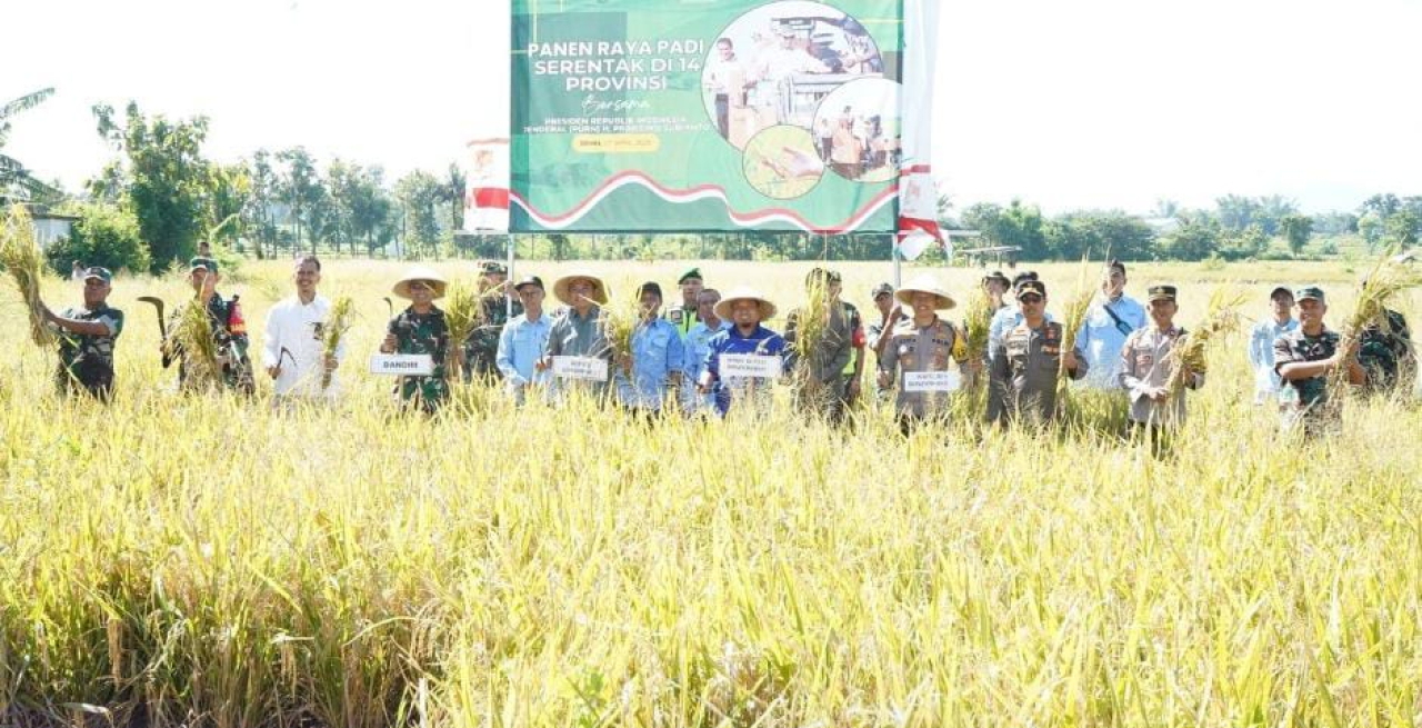 Bupati Bondowoso Pimpin Panen Raya Serentak di Tenggarang, Gabung Virtual dengan Presiden Prabowo