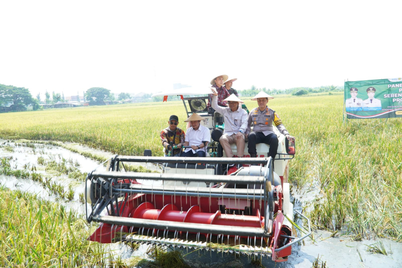 Pak Yes Pastikan Harga Gabah Stabil pada Musim Panen Raya