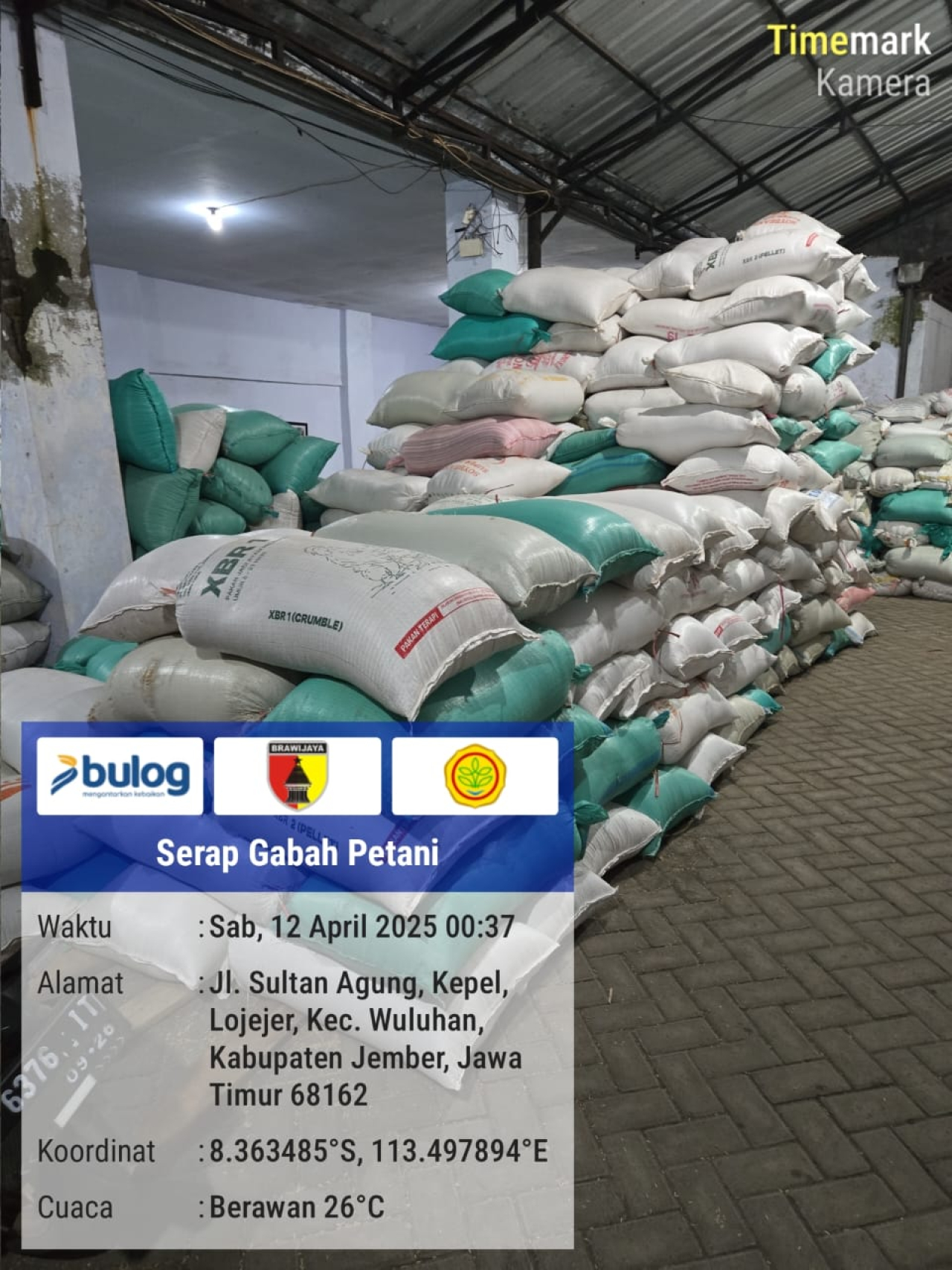 Serapan Bulog Jember tembus 2000 ton perhari, Naik 100 persen Dari Capaian Bulan lalu