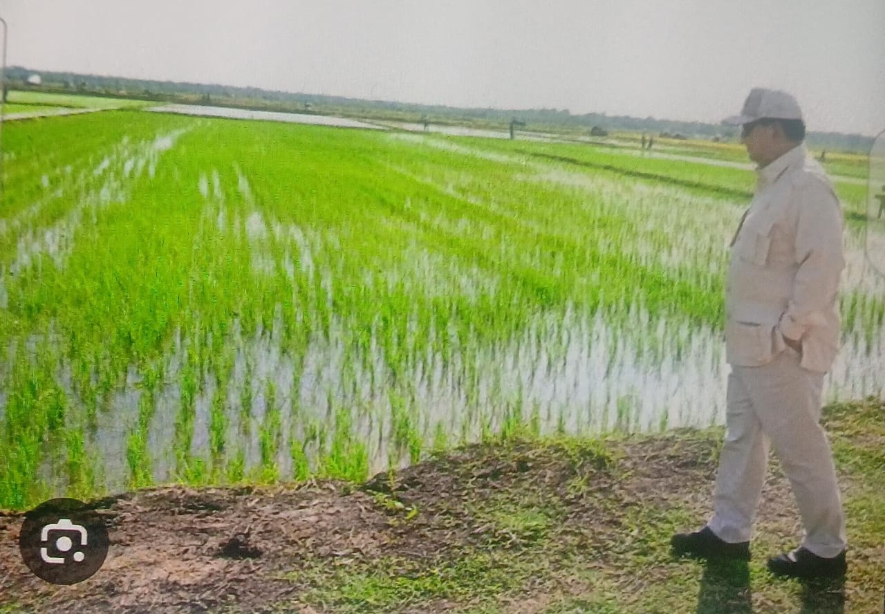 Ketika Stok Beras Di Gudang Bulog Mencapai 4 Juta Ton