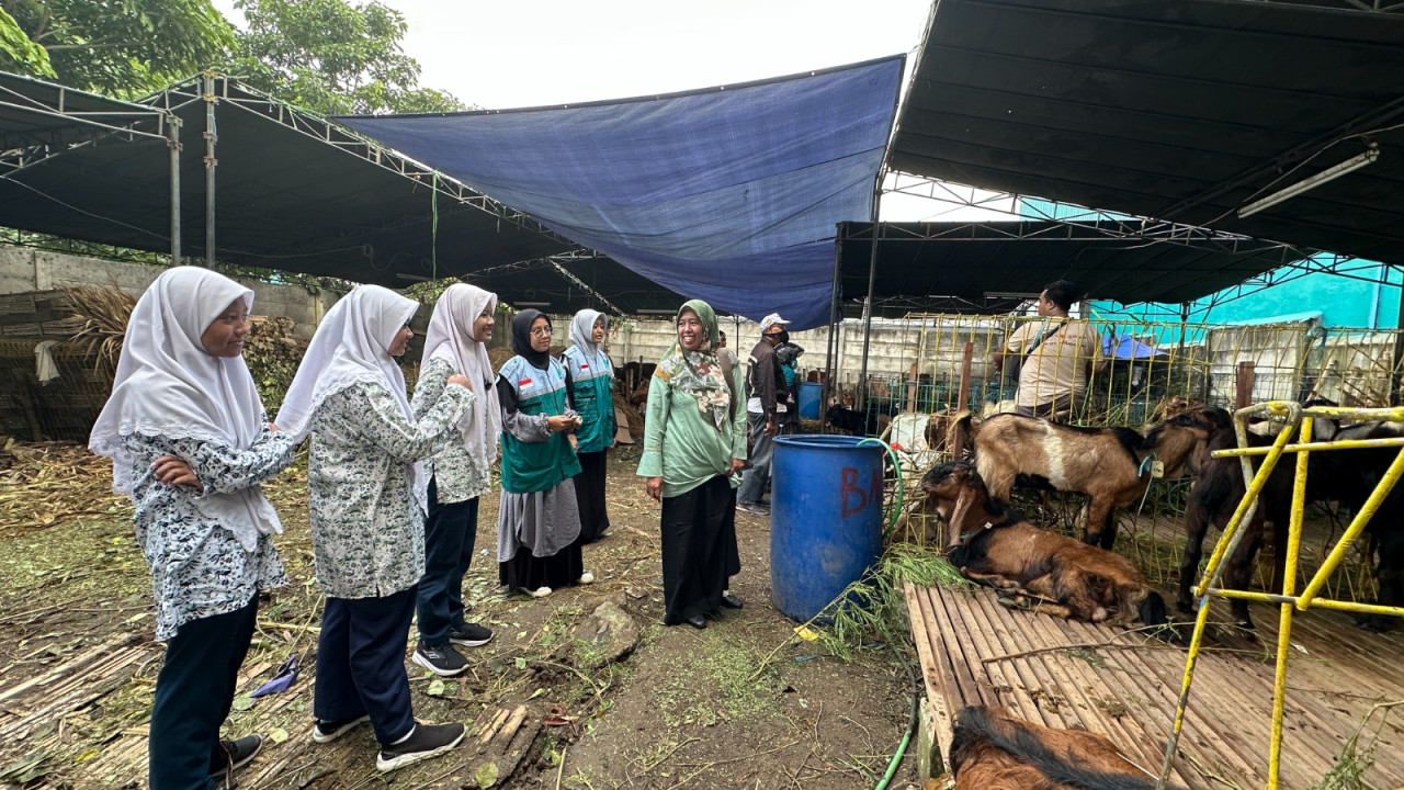 Lulus Sekolah, Siswa SMP Al Muslim Patungan Beli Kambing untuk Dibagikan ke Staf Sekolah