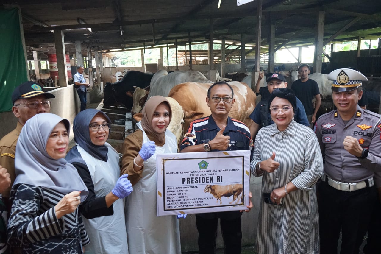 Sidoarjo Terima Sapi Kurban Satu Ton dari Presiden Prabowo