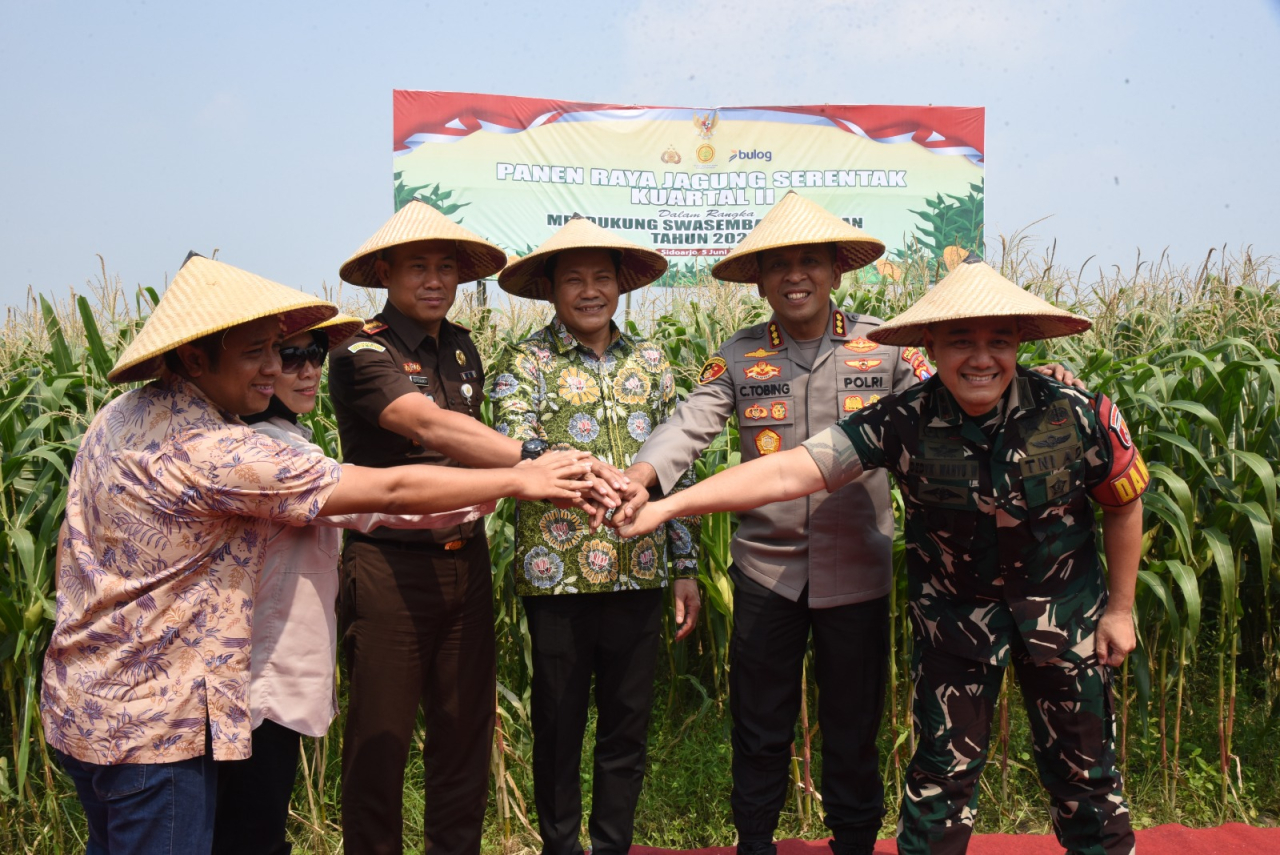 Pemkab Sidoarjo Dukung Swasembada Pangan Lewat Panen Jagung