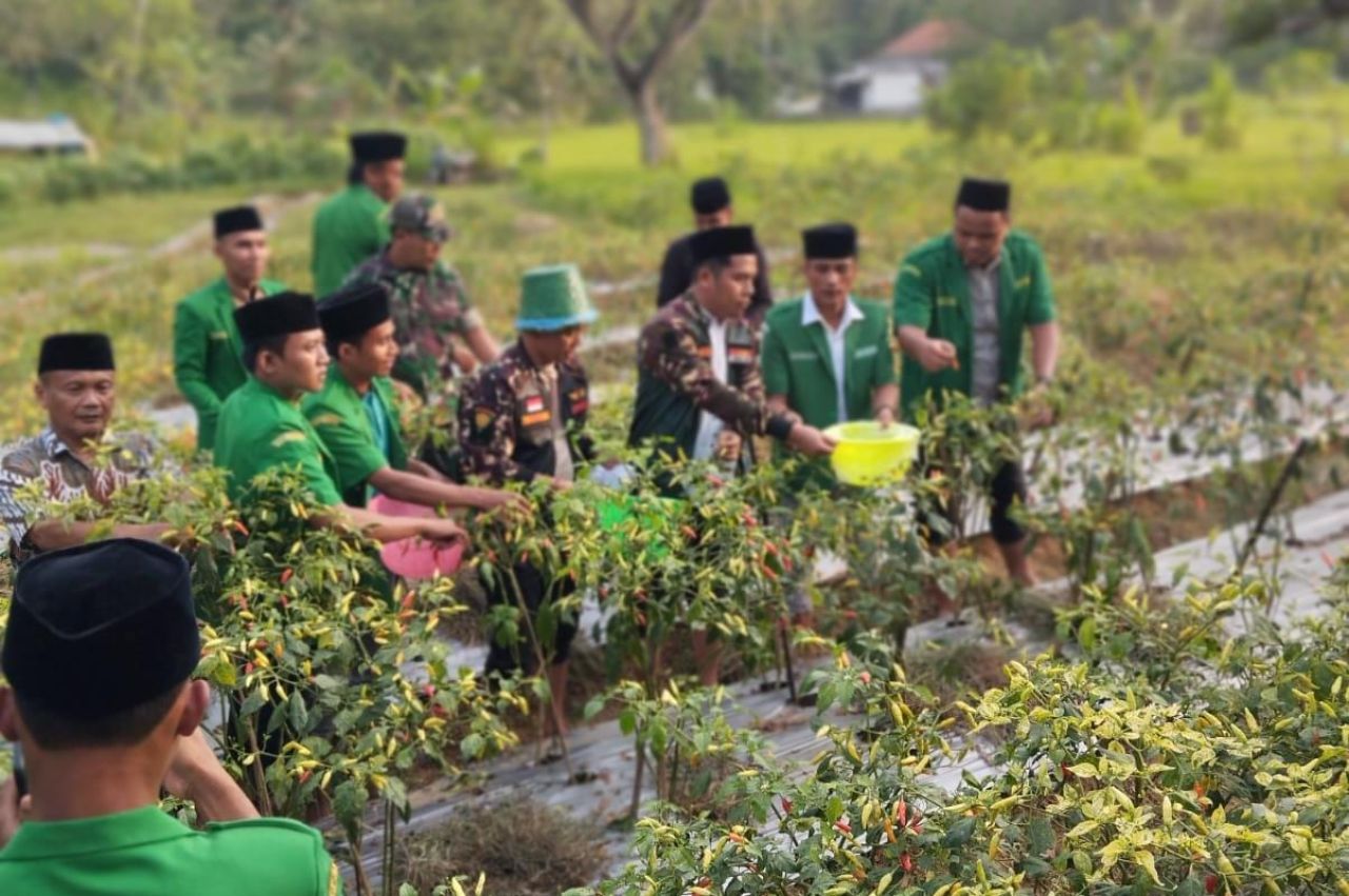 Ansor Jatim Gerakkan Ketahanan Pangan: “Jihad Hari Ini Adalah Menghidupkan Lahan”