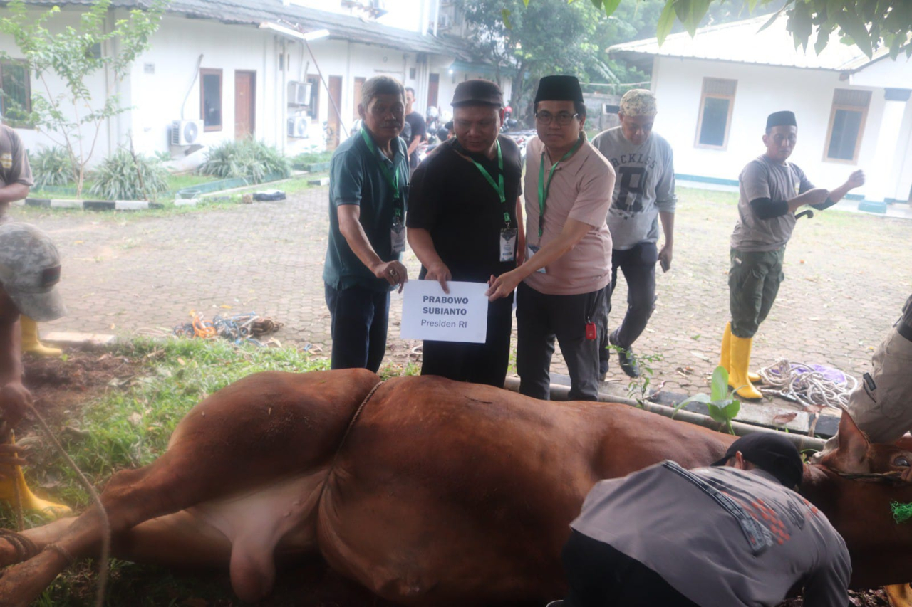 MN KAHMI Cetak Rekor Baru Penyembelihan Hewan Kurban