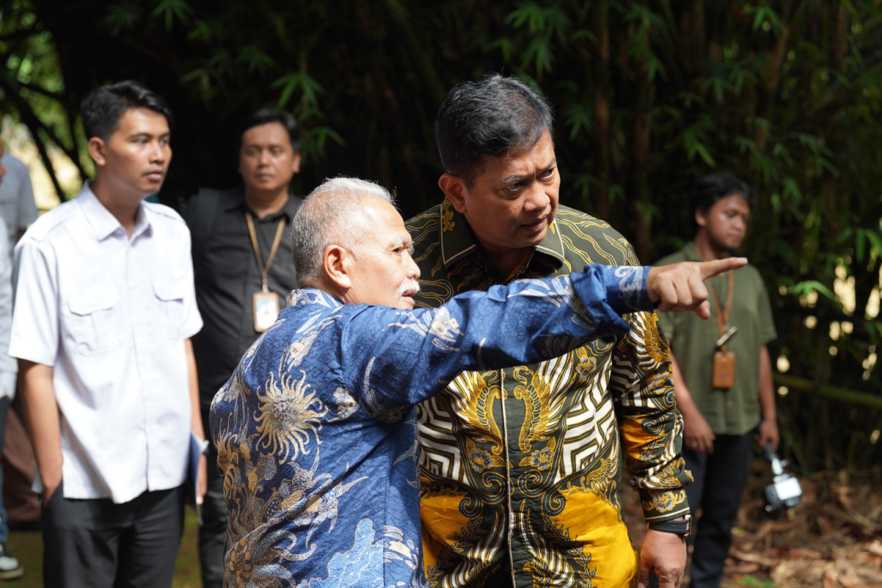 Menciptakan Kesejahteraan Rakyat, Wamen Viva Yoga Ingin Bambu Dibudidayakan di Kawasan Transmigrasi