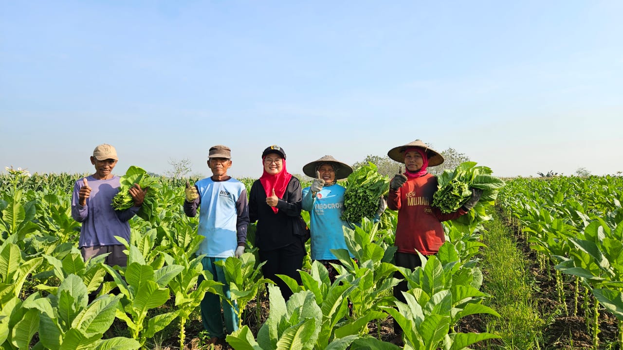 Ketua Fraksi PDIP Lamongan Serap Aspirasi Petani Tembakau, Sokong APBD dari DBHCHT Tembus Rp77,2 M