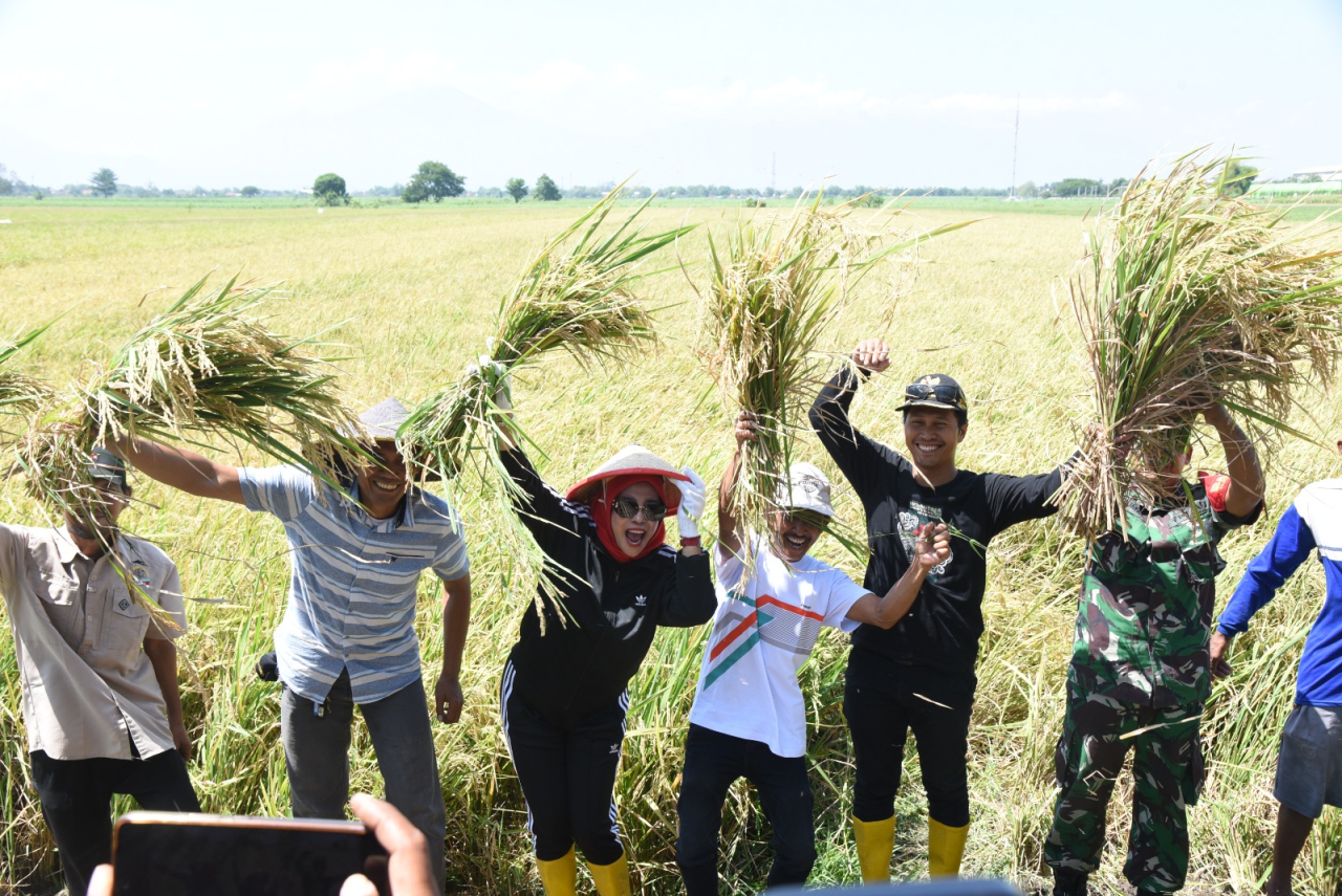 Wabup Sidoarjo Hadiri Panen Raya di Desa Bakung Temenggungan