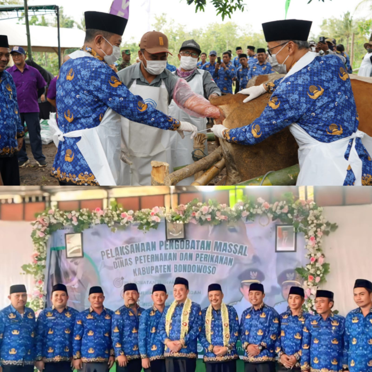 Bondowoso Masuk 10 Besar Populasi Sapi di Jatim, Bupati Hamid Dorong Peternakan Modern