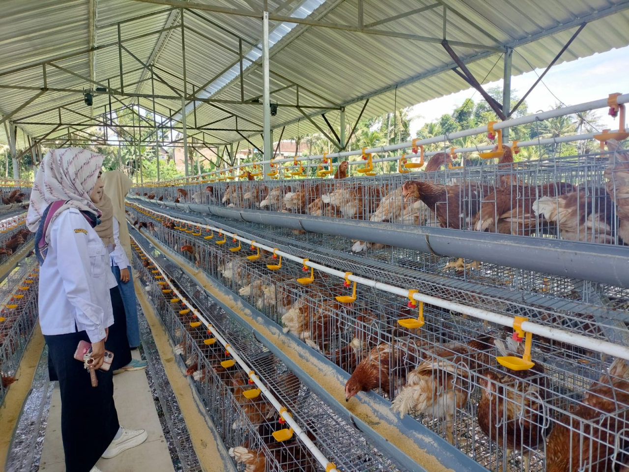 Kades Brongkal Kunjungi Unit Usaha Baru BUMDes Mulyo Makmur, Penguatan Ketahanan Pangan Desa