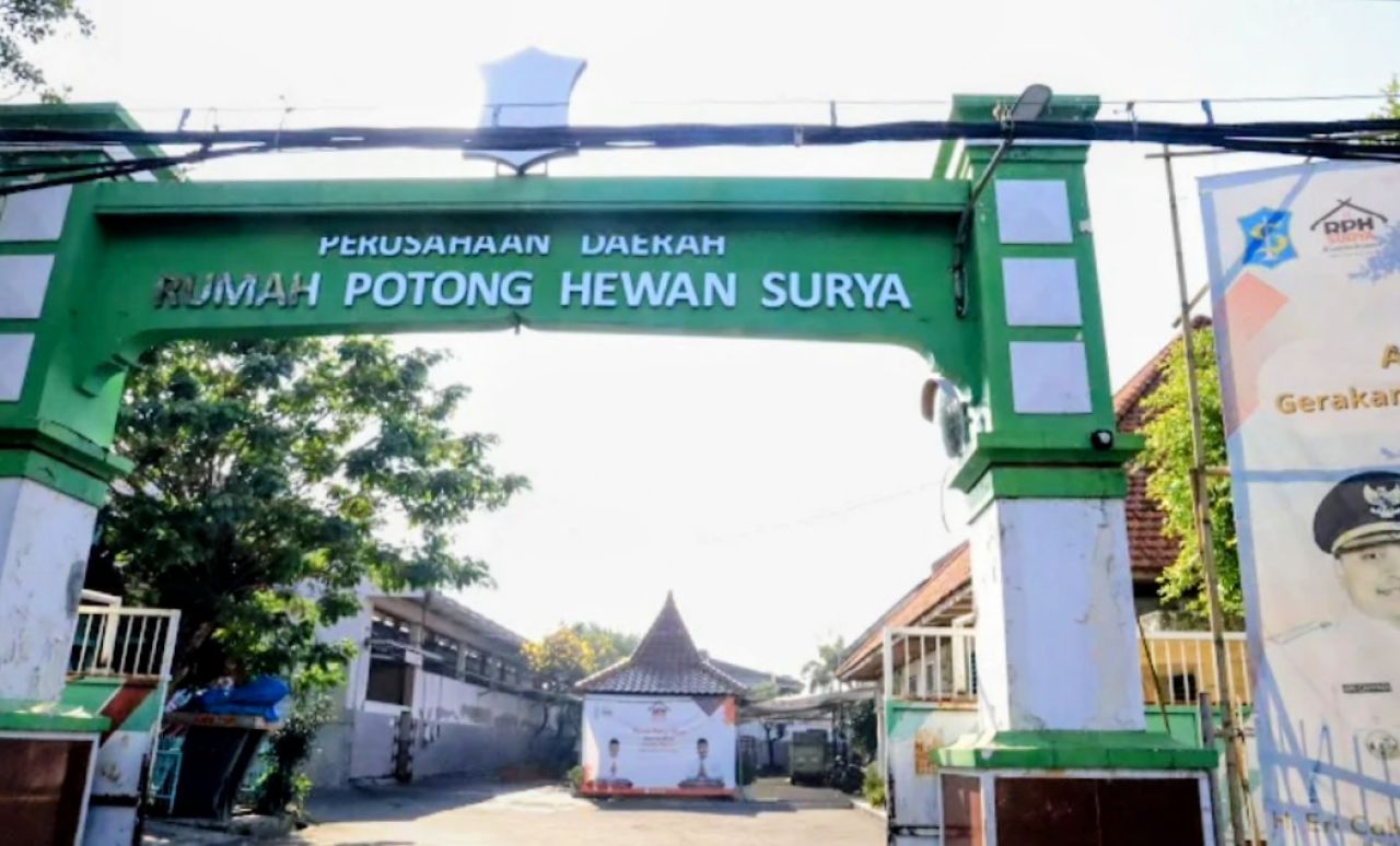 PPSDS Jatim Relokasi RPH Pegirian Tak Boleh Dikendalikan Kepentingan Lahan