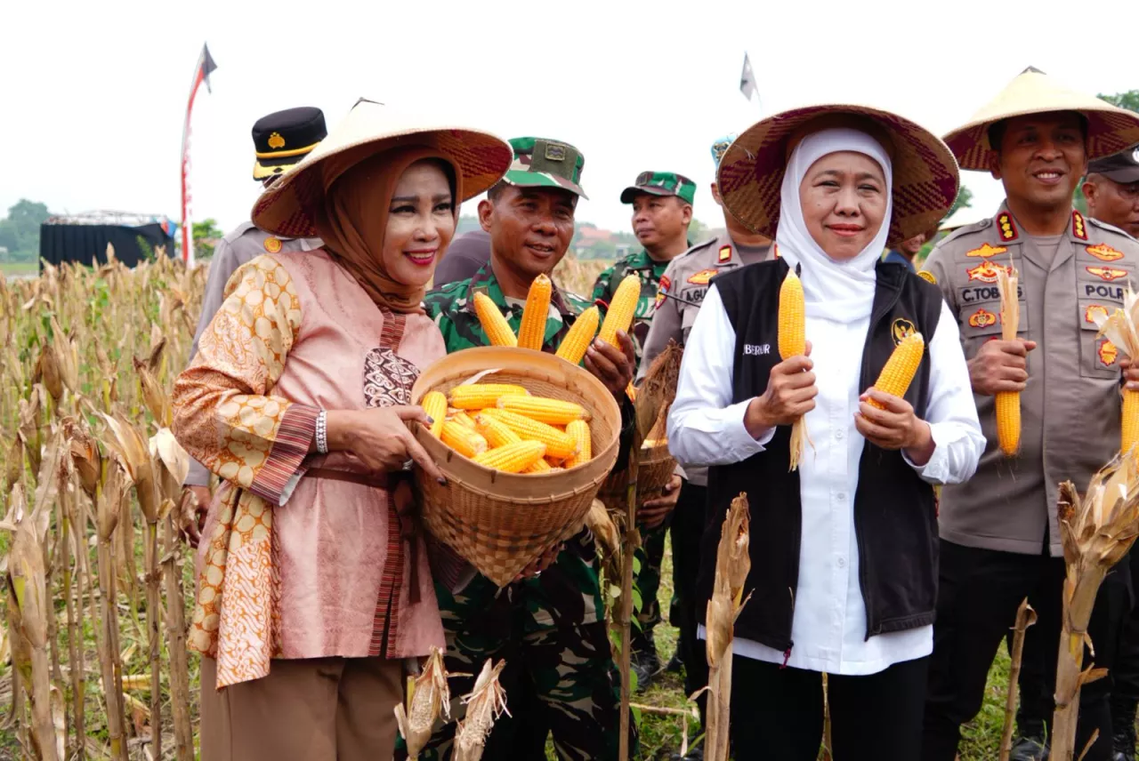 Wabup Sidoarjo Bersama Gubernur Jatim dan Forkopimda Panen Raya Jagung Kuartal I 2026 di Desa Kedensari