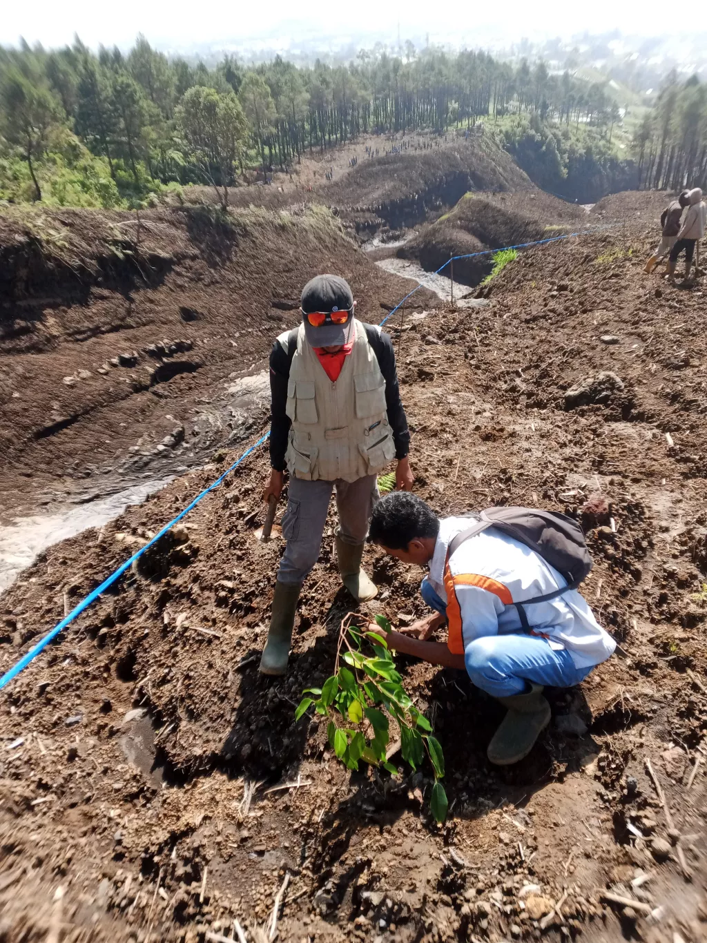 Komunitas Patanjala Purbalingga Sukses Gelar Aksi Tanam 5000 Pohon 