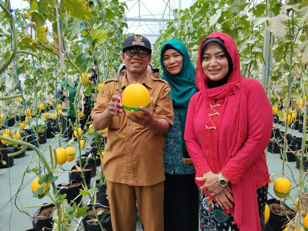 Camat Sukodono Sidoarjo Apresiasi Panen Perdana Melon BUMDesa Jaya Makmur, Dorong Kemandirian Desa
