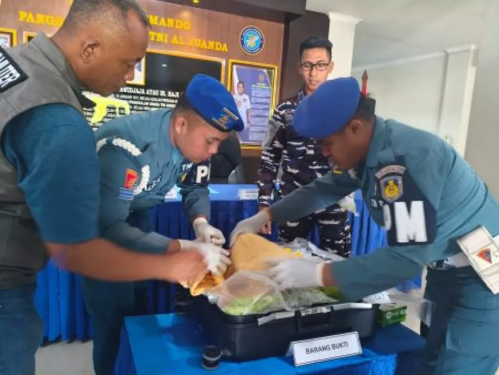 Gagalkan Penyelundupan ke Vietnam, Petugas Juanda Amankan Puluhan Ribu Benih Lobster