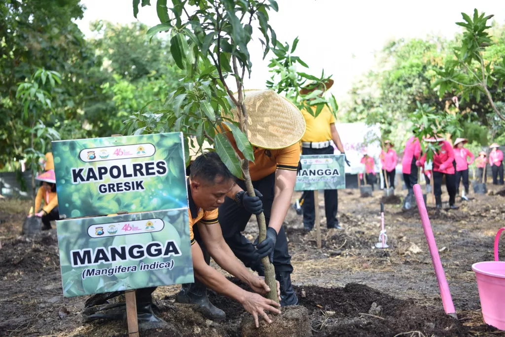 Polres Gresik Dan Bhayangkari Tanam Puluhan Pohon Produktif, Upaya Konservasi Alam-Peduli Lingkungan
