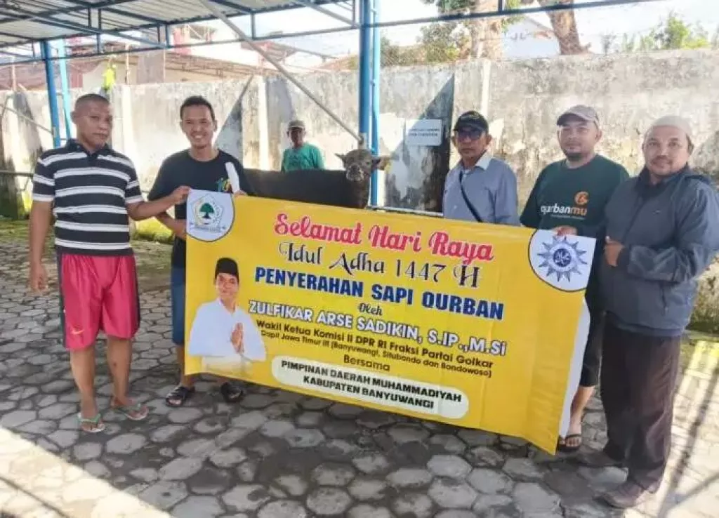 Idul Adha 1447 H, Zulfikar Arse Salurkan 18 Sapi Kurban untuk Warga Banyuwangi, Situbondo, dan Bondowoso