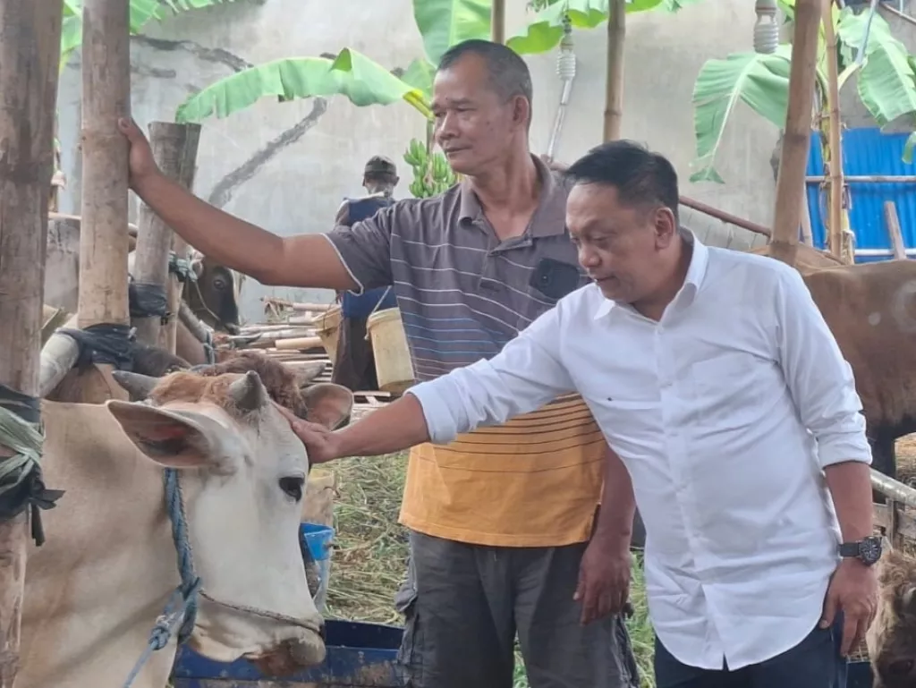 Sambangi Pedagang Hewan Kurban, Anas Minta Kelurahan Responsif Kawal Penataan Lapak