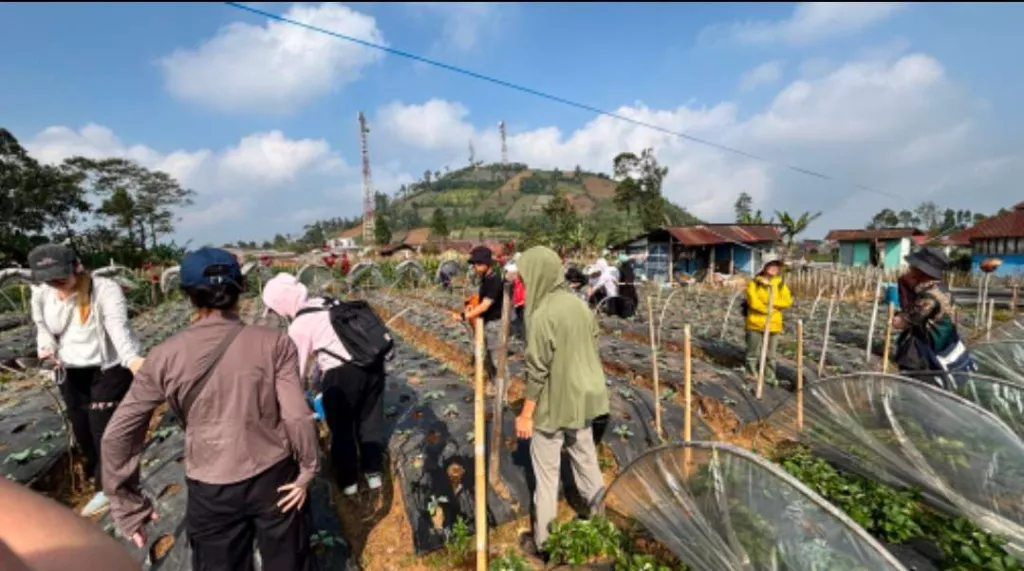 Mahasiswa Jepang Pelajari Pemulihan Pascabencana di Serang Purbalingga, Gandeng Komunitas Lokal
