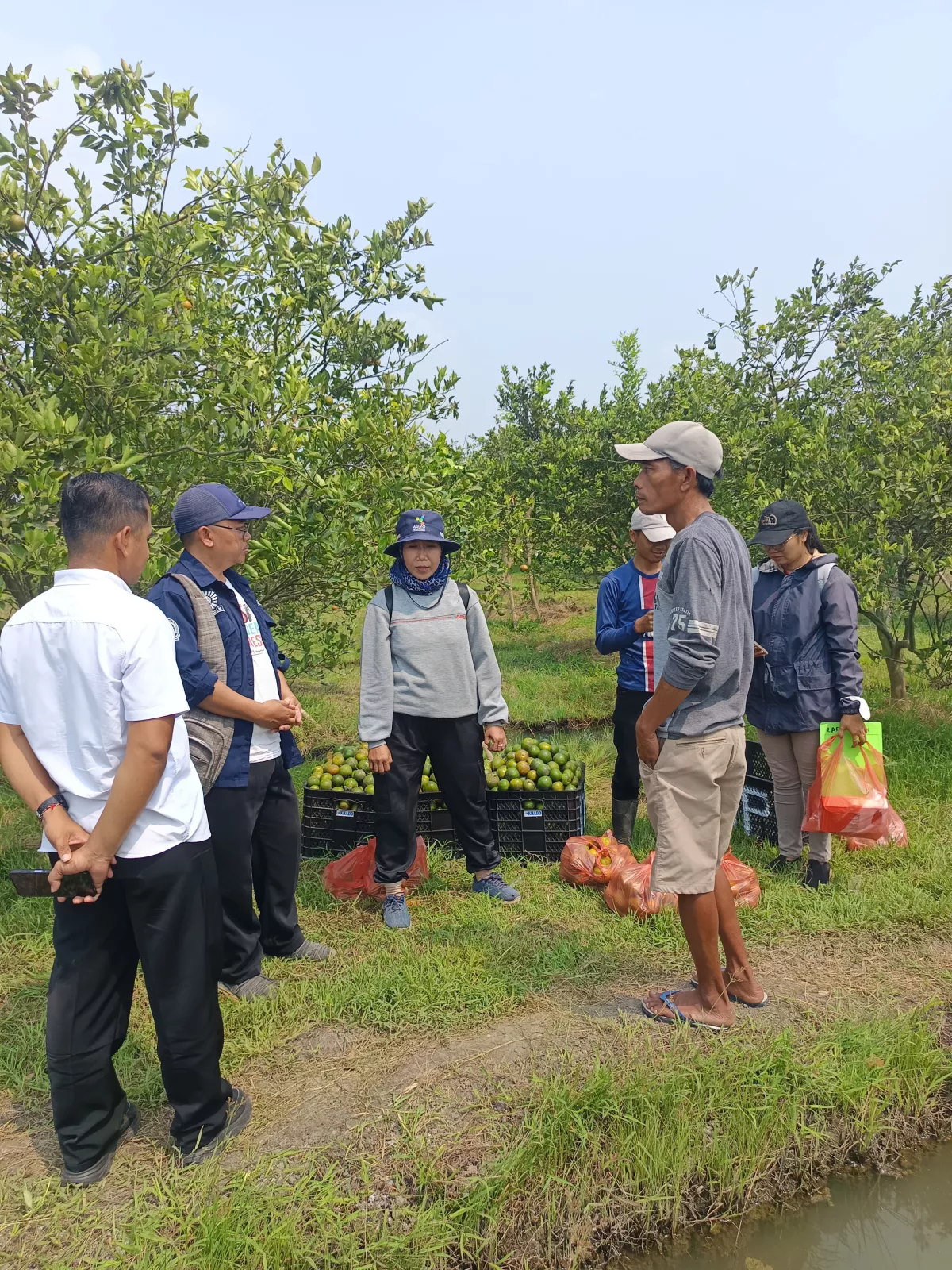 Bumdes Sejahtera desa Rejoagung bersinergi dengan Puslit Sukosari Lumajang perkuat ketahanan pangan.