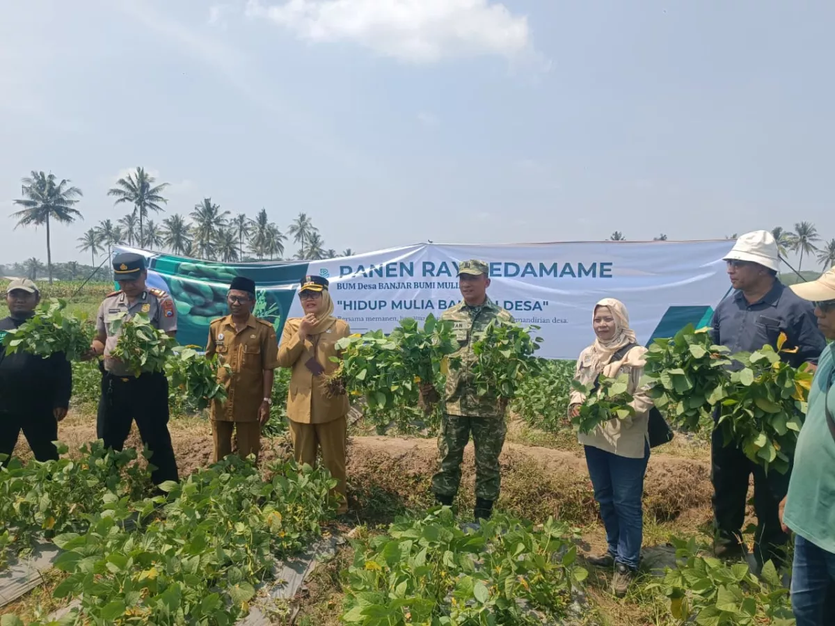 BUMDes Banjar Bumi Mulia Jadi Penggerak Ketahanan Pangan Banjarejo melalui Penyertaan Modal Dana Desa