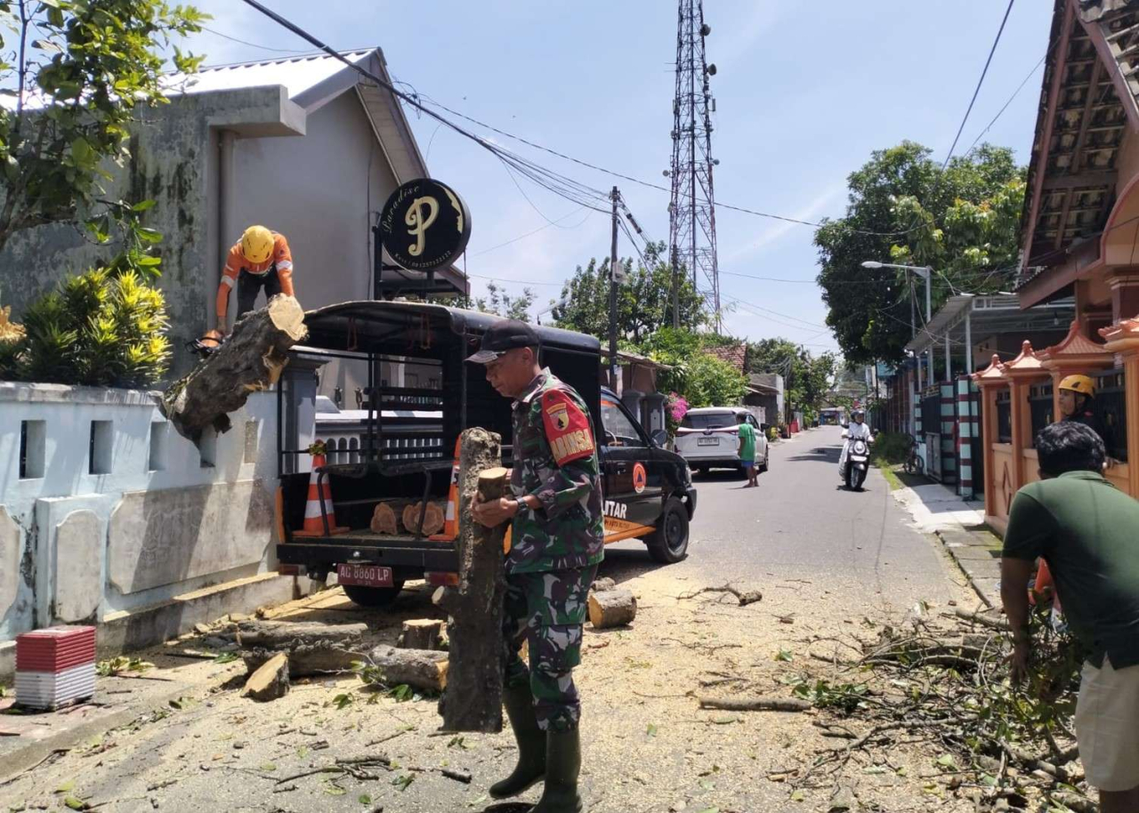 Babinsa Karangtengah Kota Blitar Sigap Bantu Evakuasi Rumah Warga Tertimpa Pohon Tumbang Akibat Angin Kencang