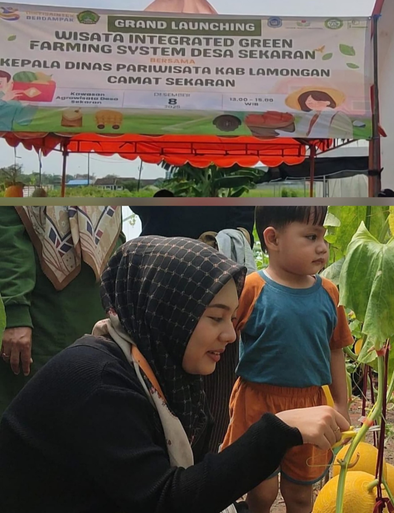 Sulap Sampah Jadi Cuan, TPS 3R Sekar Manfaat Lamongan Panen Melon Premium Beromzet Belasan Juta