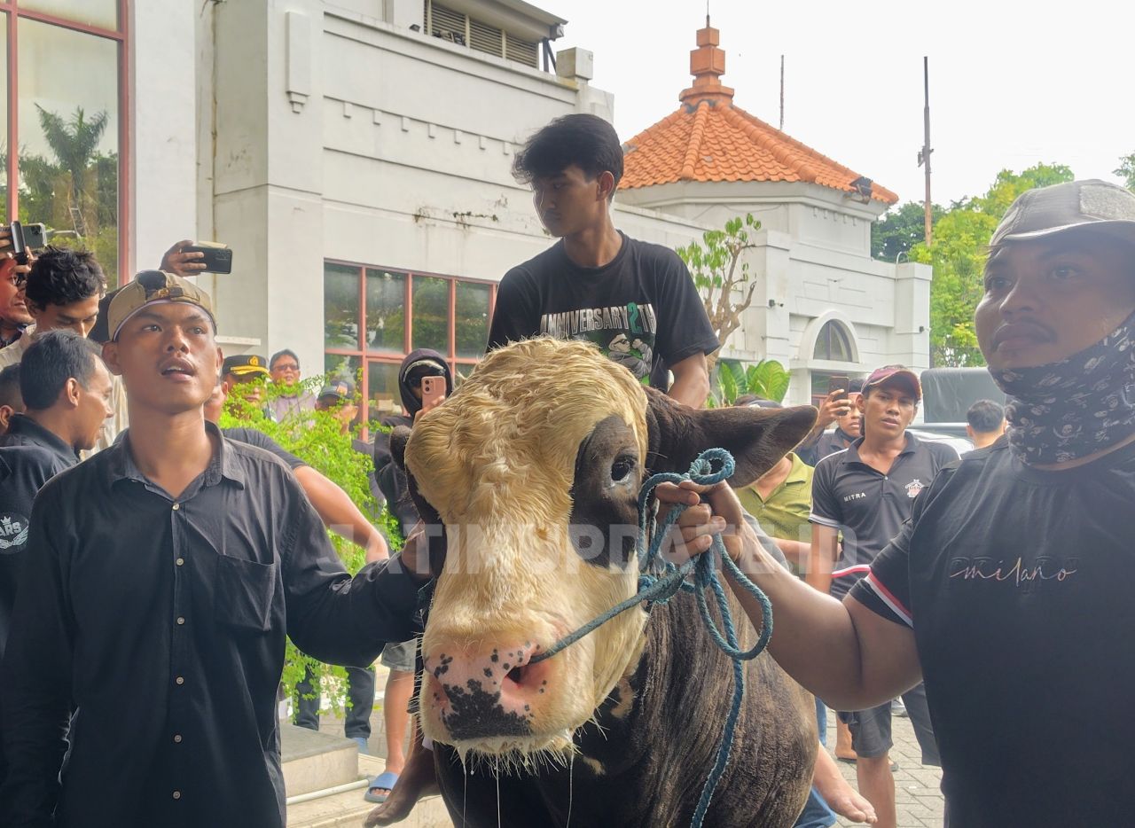 Mitra jagal membawa sapi di halaman DPRD Surabaya saat demonstrasi, dok jatimupdate.id