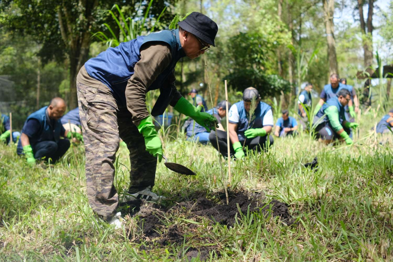 Direktur Operasi TPS, Noor Budiwan, bersama Pekerja TPS menanam bibit pohon pinus pada Sabtu (31-1) di Coban Talun, Kota Batu