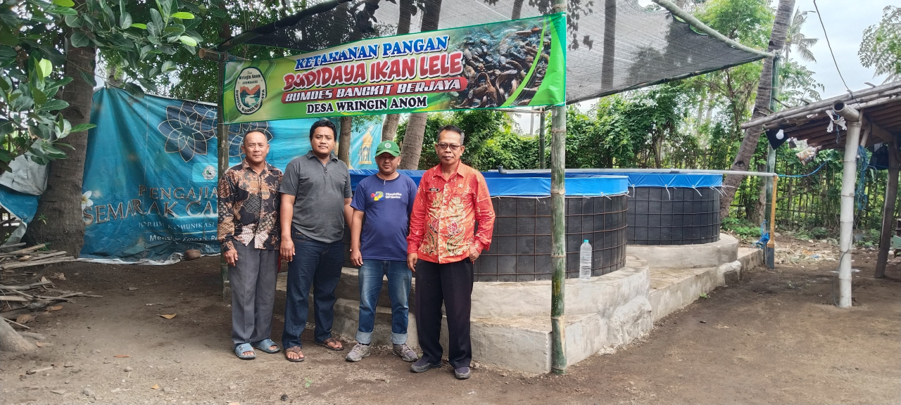 Mengintip Ketahanan Pangan Desa Wringin Anom Tematik Budidaya Ikan Lele.
