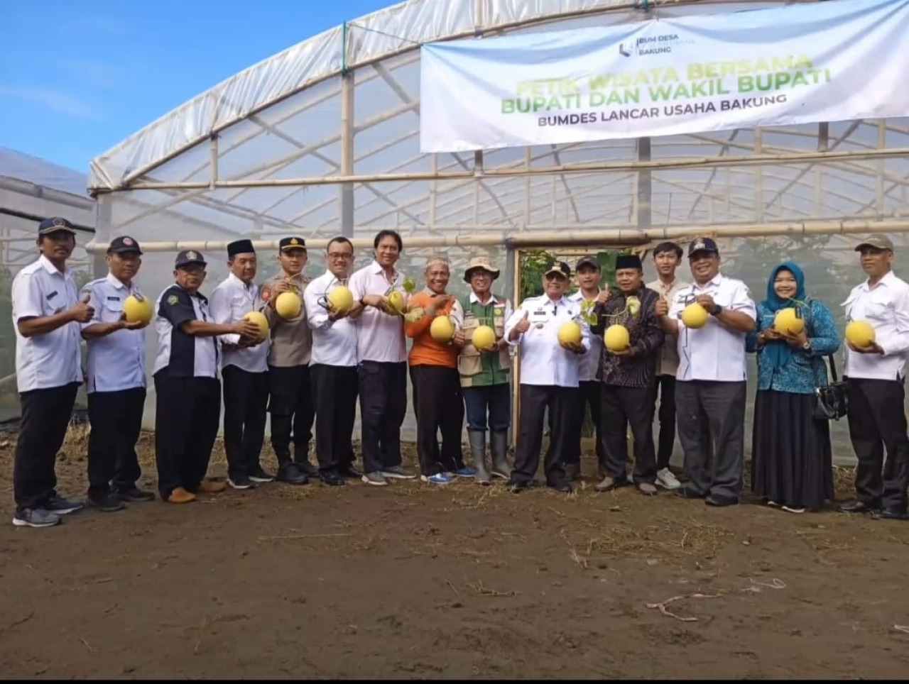 Panen Perdana Melon BUM Desa Bakung, Dana Desa Rp270 Juta Berbuah Manis hingga 5 Ton
