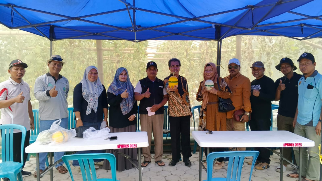 Kadis PMD Sidoarjo Hadiri Panen Perdana Melon Hidroponik BUMDesa Gading Makmur Jumputrejo Sukodono