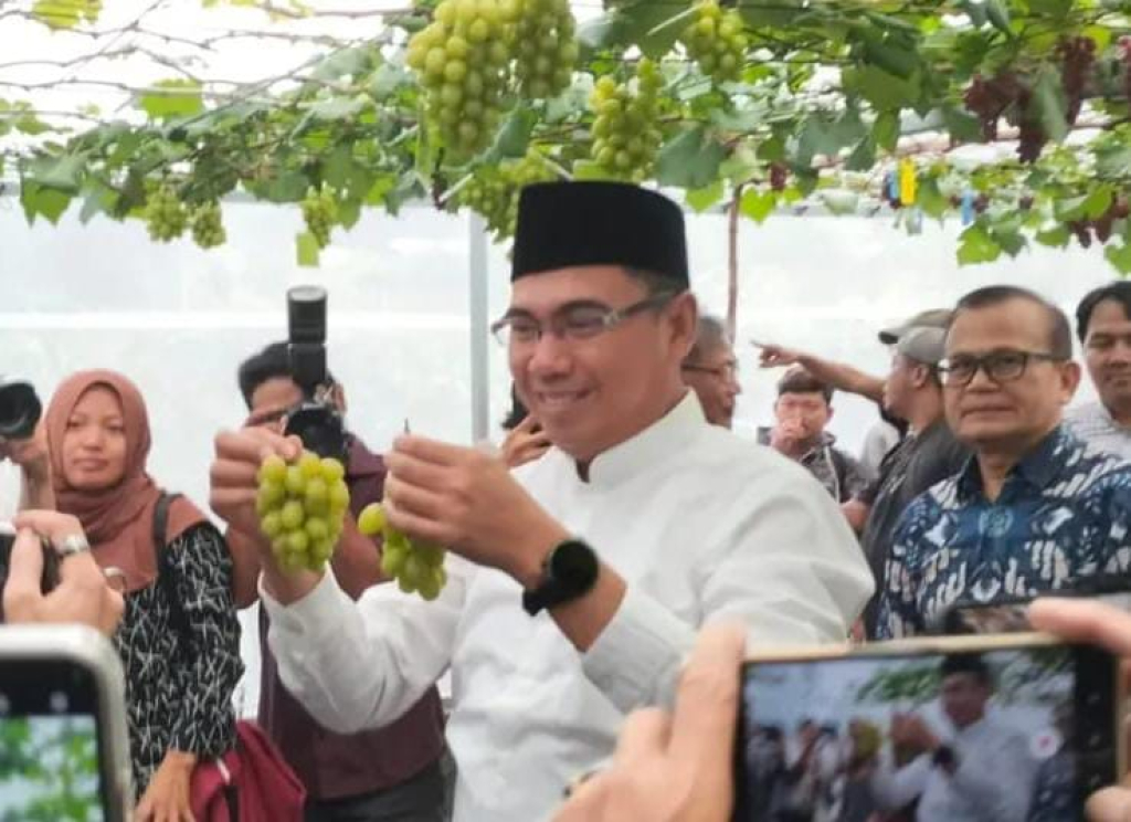 Rektor IPB, Alim Setiawan Slamet sedang memanen komoditas anggur unggulan.