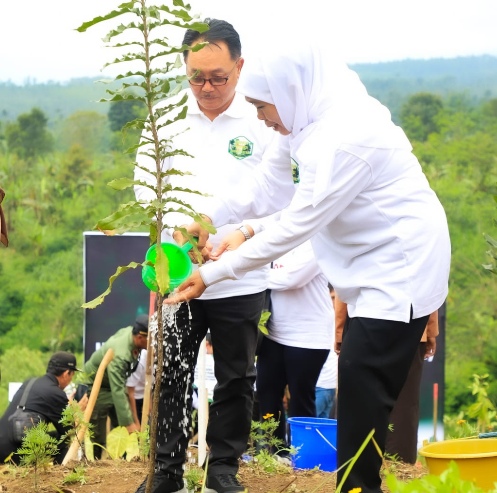 Gubernur Jatim Khofifah sedang melakukan penanaman pohon dalam rangka konservasi hutan.