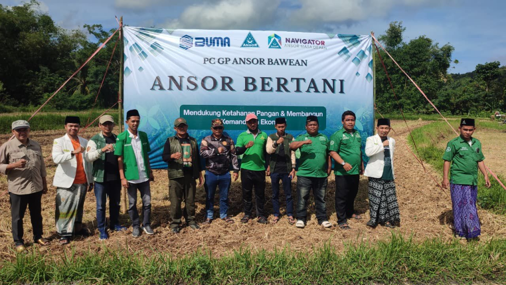 GP Ansor mulai berperan dari sekadar organisasi sosial-keagamaan jadi motor penggerak ekonomi berbasis desa ini terlihat Program “Ansor Bertani” di Pulau Bawean. (Foto Ansor Bawean for JatimUPdate.id)