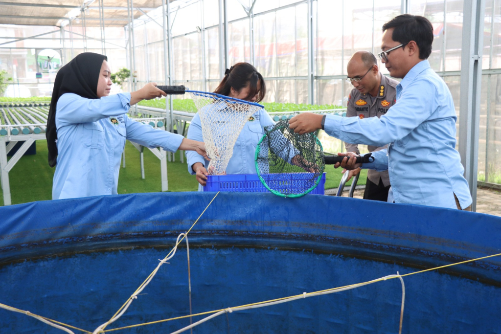 Polda Metro Jaya bersama Polres Metro Jakarta Barat melaksanakan panen ikan nila merah di Greenhouse SPBG Palmerah, Jakarta Barat, Rabu sore (20/5/2026).