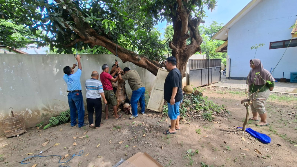 Pada Rabu (27/5/2026), organisasi yang menaungi insan pers di Kota Angin tersebut menyembelih dua ekor kambing kurban, di halaman samping Sekretariat PWI Nganjuk.