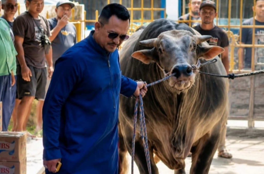 Founder Bani Insan Peduli (BIP) Foundation, Ali Zainal Abidin, mempersembahkan seekor sapi kurban jumbo berbobot 1,05 ton untuk disembelih dan diniatkan untuk mendiang orang tua.