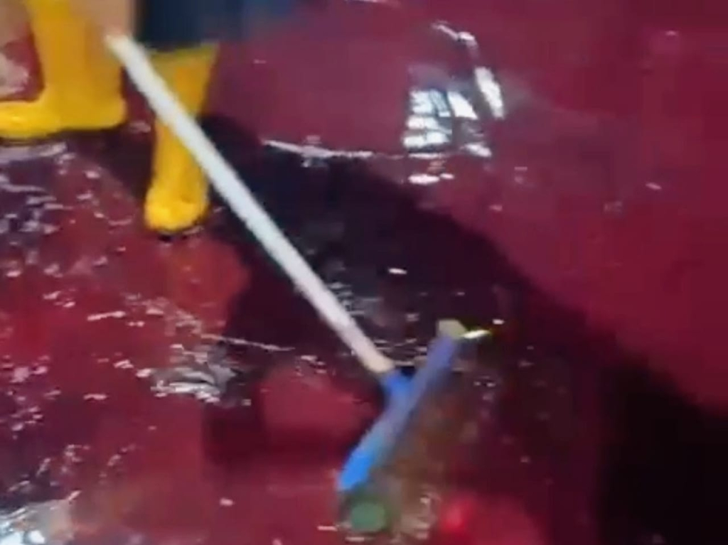 Tangkapan layar video genangan air bercampur darah di fasilitas pemotongan RPH TOW