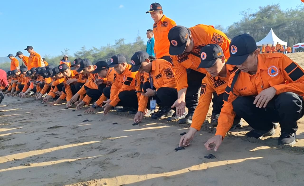 Pelepasan tukik (anak penyu) di pantai Pacitan.