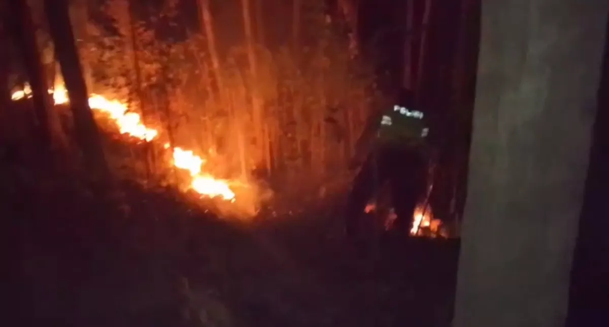 Kobaran Api Muncul di Hutan Kaulon Blitar, Petugas Turun Tangan