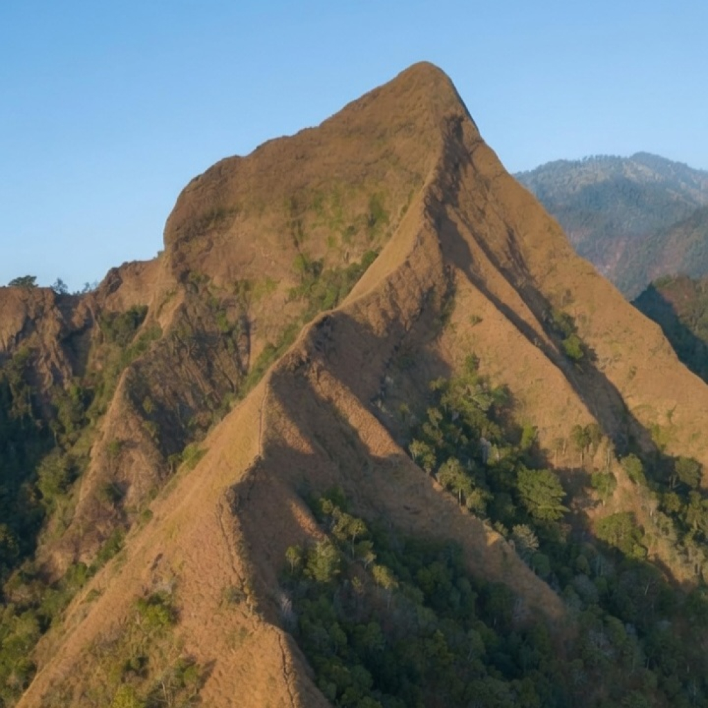 Gunung Piramid di Kecamatan Curahdami, Bondowoso, memiliki karakter medan ekstrem dan jalur yang menantang.