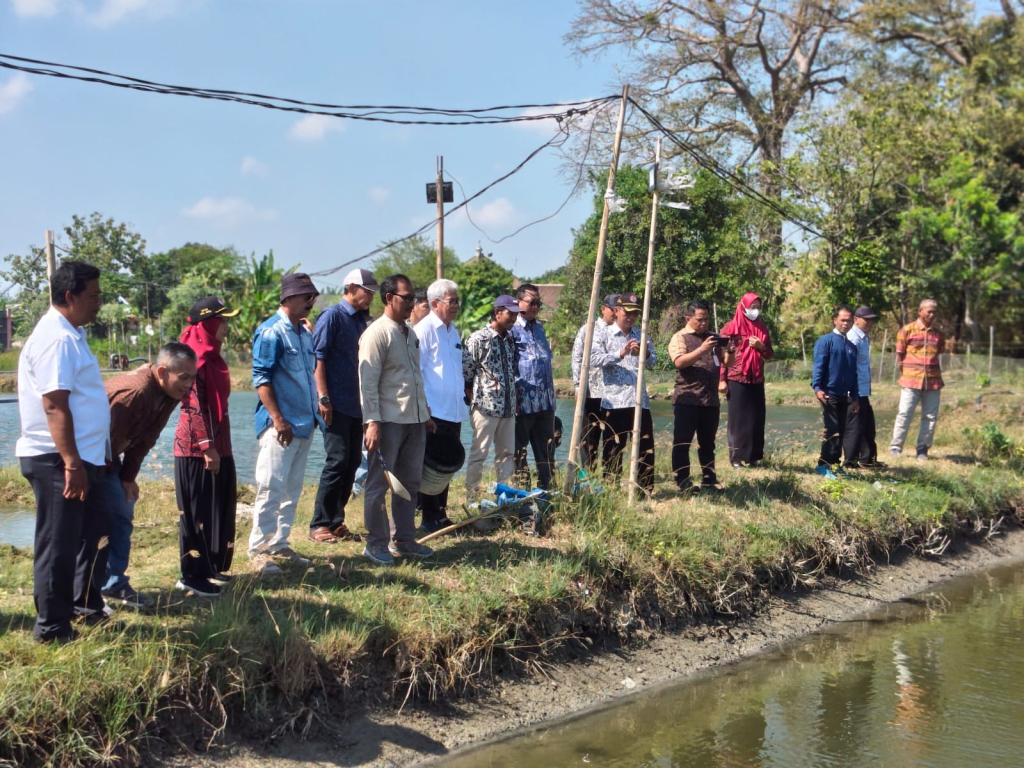 Penasehat Kementrian Desa Pembangunan Daerah Tertinggal, Prof Dr Zainudin Maliki tengah berada di tambak ikan yang dikelola BUMdesa Jenggolo Sejahtera Kec. Jenu, Kab. Tuban bersama stakeholder Desa.