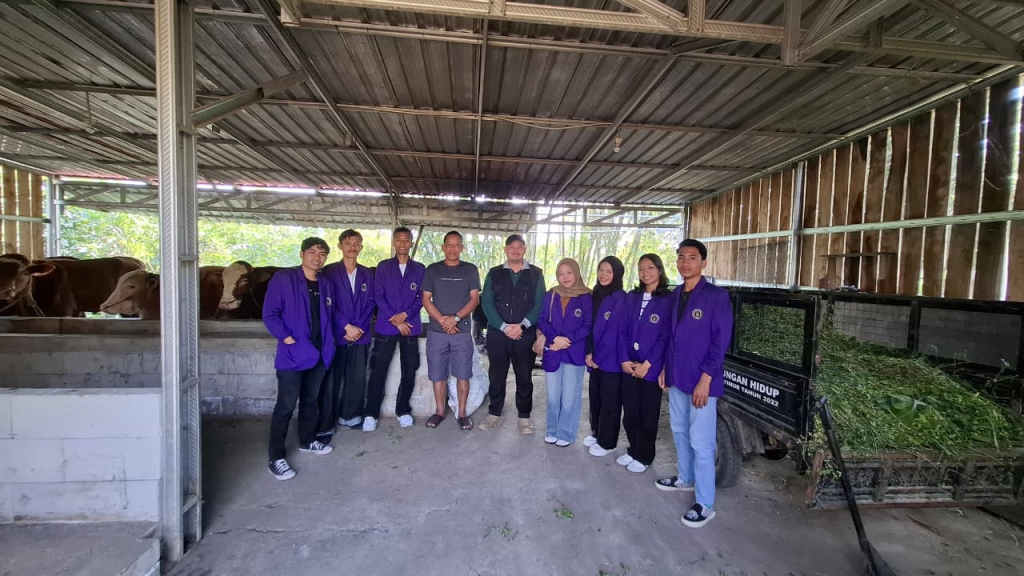 Mahasiswa dan dosen Program Studi Peternakan Universitas Tribhuwana Tunggadewi menghadirkan inovasi pakan ternak ramah lingkungan untuk meningkatkan produktivitas peternakan lokal di Kabupaten Malang.