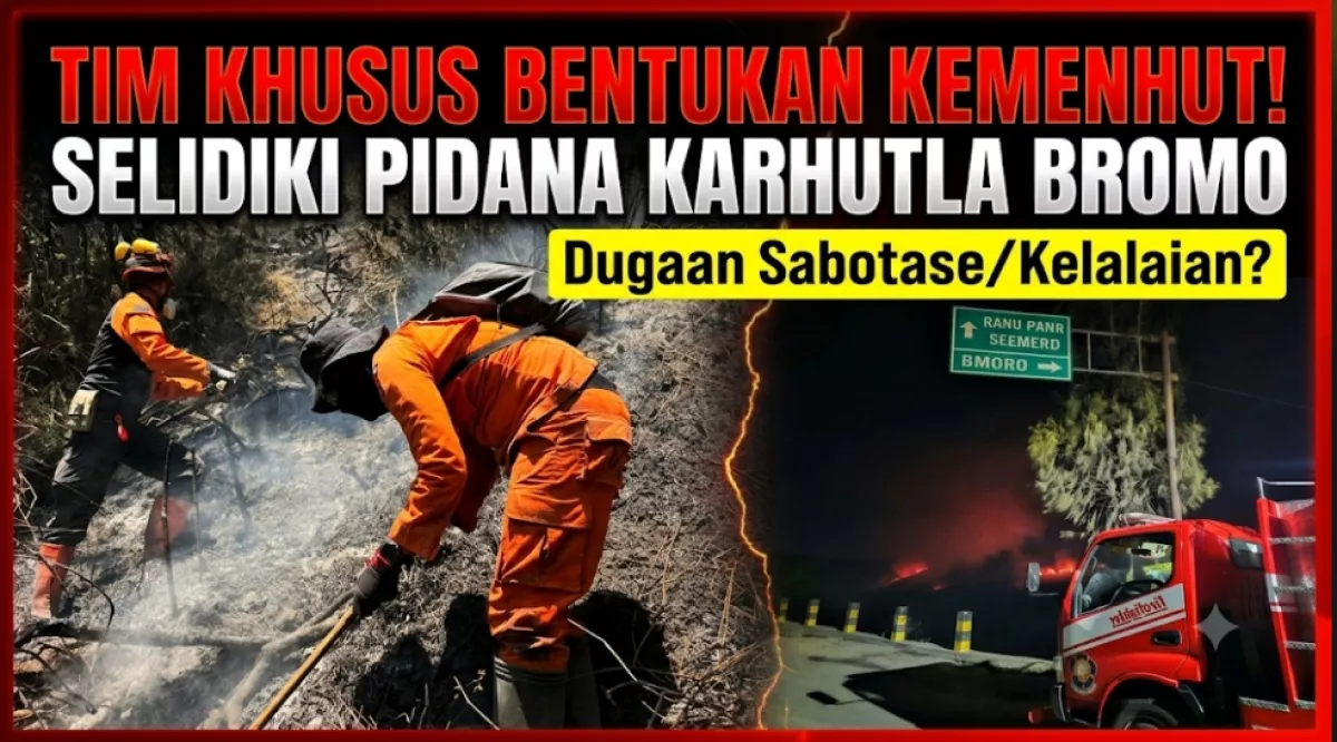 Bentuk Tim Khusus, Kemenhut Selidiki Dugaan Pidana Karhutla Gunung Bromo